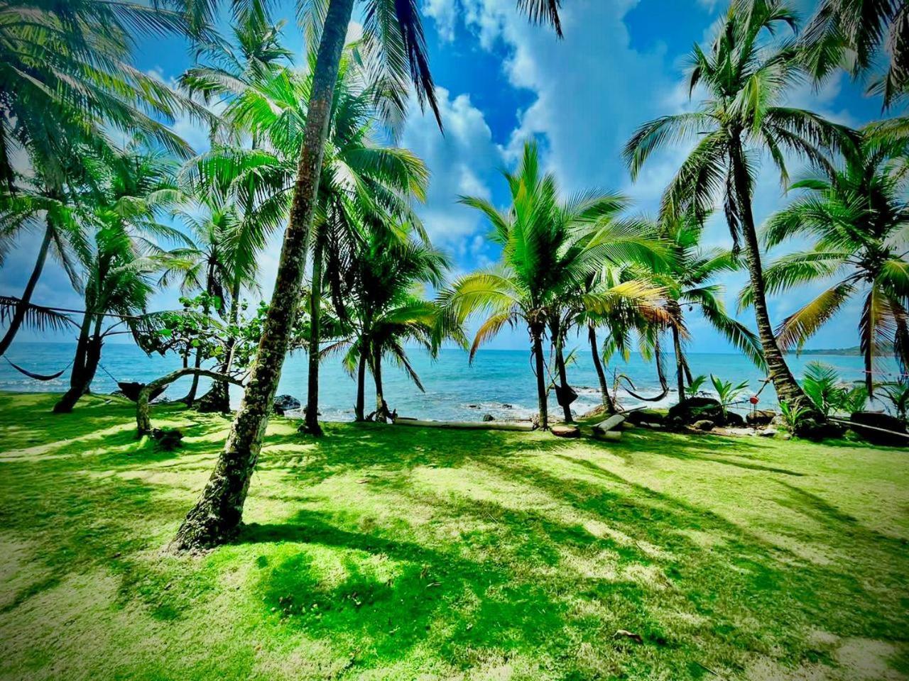 Guesthouse Island Escape South End ภายนอก รูปภาพ